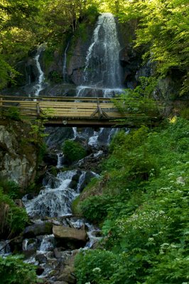 Chutes d'Hochwald_4641676895_l.jpg